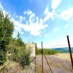 Satılır Torpaq İsmayıllı 19