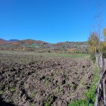 Satılır Torpaq Quba 3