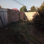 Satılır Torpaq Zaqatala 2