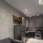 Kirayə (aylıq) 2 otaqlı Köhnə Tikili, Qaraçuxur qəs., Suraxanı rayonu 3
