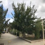 Satılır 5 otaqlı Bağ evi, Xəzər rayonu 11