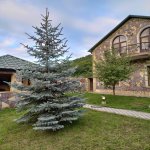 Kirayə (günlük) 5 otaqlı Həyət evi/villa Quba 21