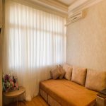 Kirayə (aylıq) 1 otaqlı Yeni Tikili, Nəsimi rayonu 1