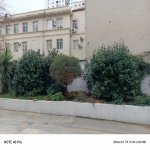 Kirayə (aylıq) 2 otaqlı Yeni Tikili, Nəriman Nərimanov metrosu, Nərimanov rayonu 7