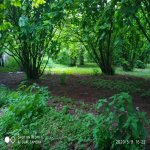 Продажа Участок Гябяля 13