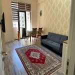 Kirayə (günlük) 2 otaqlı Yeni Tikili, 28 May metrosu, Nəsimi rayonu 6