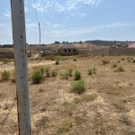 Satılır Torpaq, Saray, Abşeron rayonu 6
