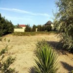 Kirayə (aylıq) 3 otaqlı Bağ evi, Bilgəh qəs., Sabunçu rayonu 17