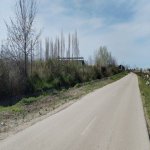 Продажа Участок Хачмаз 142