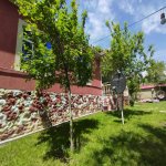 Kirayə (günlük) 4 otaqlı Həyət evi/villa Qəbələ 6