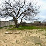 Satılır Torpaq, Nardaran qəs., Sabunçu rayonu 4