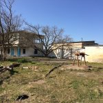 Satılır 6 otaqlı Bağ evi, Novxanı, Abşeron rayonu 10