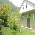 Kirayə (günlük) 3 otaqlı Həyət evi/villa Qəbələ 1