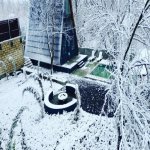 Kirayə (günlük) 3 otaqlı Həyət evi/villa Qəbələ 21