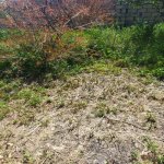 Satılır Torpaq, Digah, Abşeron rayonu 4