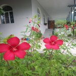Kirayə (günlük) 3 otaqlı Həyət evi/villa Şəki 14