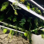 Аренда 3 комнатная Новостройка, м. 20 Января метро, Ясамал район 14