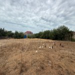 Satılır Torpaq, Koroğlu metrosu, Maştağa qəs., Sabunçu rayonu 3