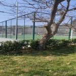Kirayə (aylıq) 1 otaqlı Yeni Tikili, Həzi Aslanov metrosu, Xətai rayonu 14
