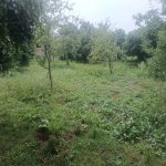 Satılır Torpaq Qəbələ 3