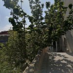 Kirayə (aylıq) 5 otaqlı Bağ evi, Mərdəkan, Xəzər rayonu 9