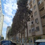 Satılır 2 otaqlı Yeni Tikili Xırdalan 1