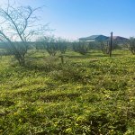 Satılır Torpaq, Novxanı, Abşeron rayonu 6