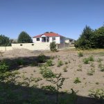 Satılır Torpaq Qəbələ 3