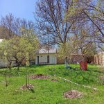 Kirayə (günlük) 3 otaqlı Bağ evi Xızı 1