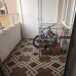 Аренда 3 комнатная Новостройка, пос. Бадамдар, Сябаиль район 6