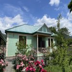 Kirayə (günlük) 3 otaqlı Həyət evi/villa Qəbələ 3