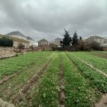 Продажа Участок, Бузовна, Хязяр район 1