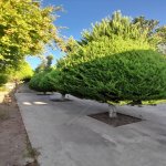 Satılır 6 otaqlı Bağ evi, Buzovna, Xəzər rayonu 11
