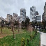 Kirayə (aylıq) 2 otaqlı Yeni Tikili, Gənclik metrosu, Nərimanov rayonu 1