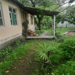 Kirayə (günlük) 3 otaqlı Həyət evi/villa Qəbələ 1