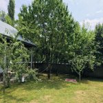 Kirayə (günlük) 3 otaqlı Həyət evi/villa Qəbələ 14