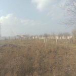 Satılır Torpaq, Məhəmmədli, Abşeron rayonu 3