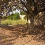 Satılır 2 otaqlı Bağ evi, Pirşağı qəs., Sabunçu rayonu 6