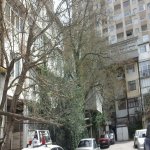 Kirayə (aylıq) 1 otaqlı Köhnə Tikili, Elmlər akademiyası metrosu, Yasamal qəs., Yasamal rayonu 1
