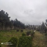 Satılır 6 otaqlı Bağ evi, Bilgəh qəs., Sabunçu rayonu 14