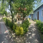 Satılır 5 otaqlı Həyət evi/villa Qəbələ 21