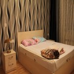Kirayə (aylıq) 2 otaqlı Köhnə Tikili, 28 May metrosu, Nəsimi rayonu 3