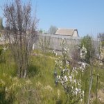 Satılır Torpaq, Novxanı, Abşeron rayonu 3