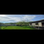 Satılır Torpaq Qəbələ 15