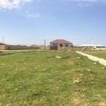 Satılır Torpaq, Saray, Abşeron rayonu 1