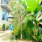 Kirayə (günlük) 4 otaqlı Həyət evi/villa Qusar 33