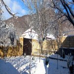Kirayə (günlük) 4 otaqlı Həyət evi/villa Qəbələ 8