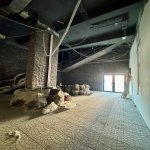 Kirayə (aylıq) Obyekt, Gənclik metrosu, Nərimanov rayonu 16