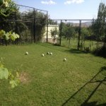 Kirayə (günlük) 6 otaqlı Həyət evi/villa İsmayıllı 7