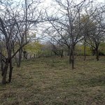 Satılır 5 otaqlı Həyət evi/villa İsmayıllı 9